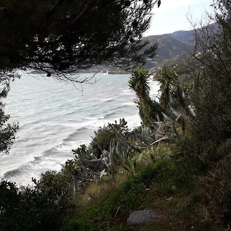 Carso 10 Daire Ventimiglia Oda fotoğraf