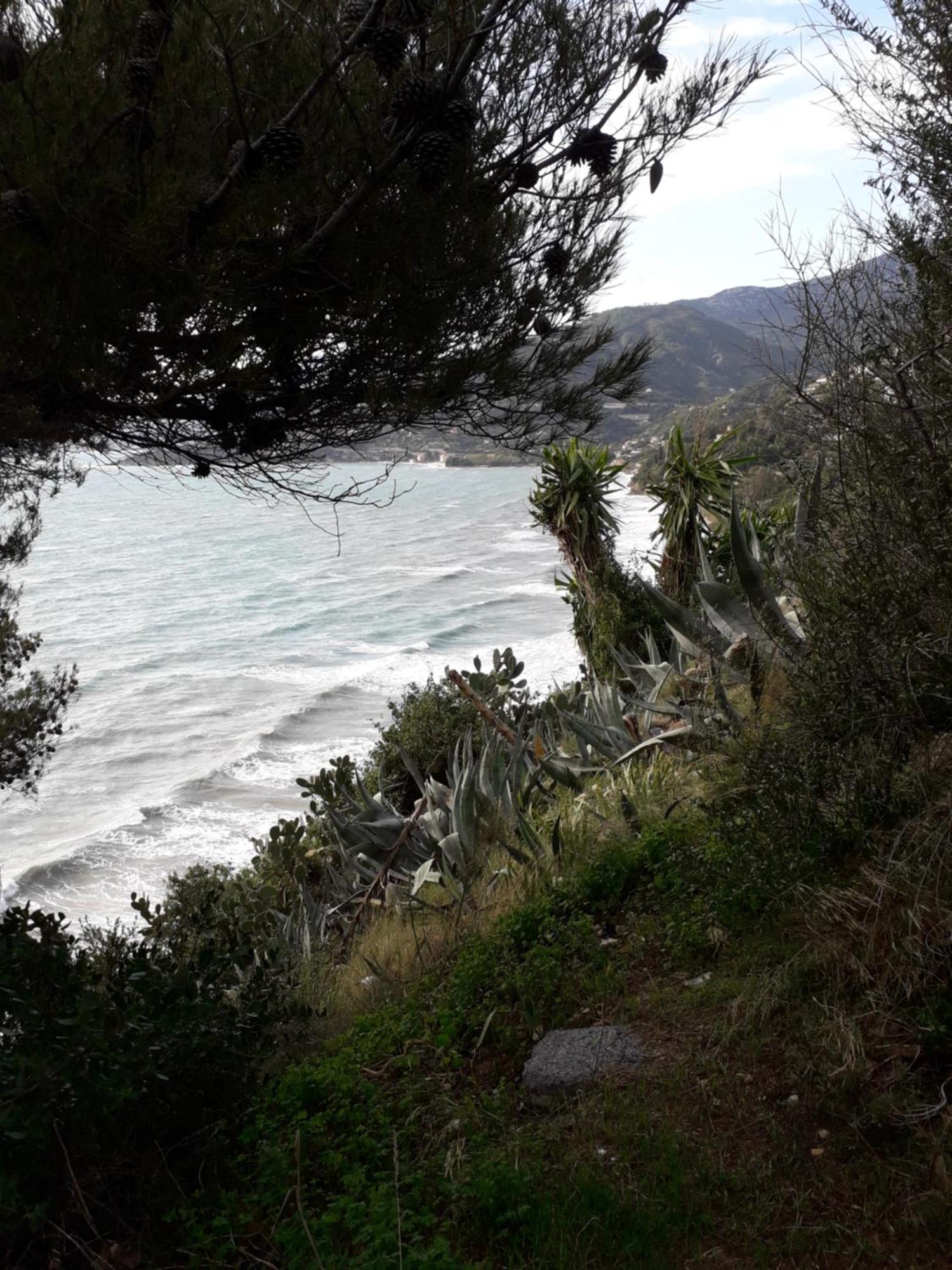 Carso 10 Daire Ventimiglia Oda fotoğraf